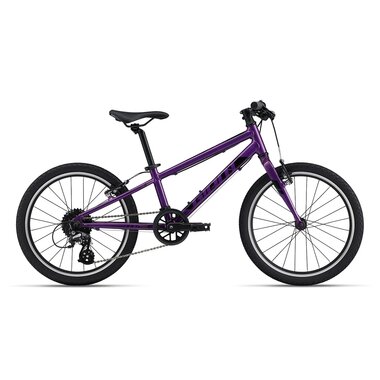 GIANT ARX 20 20" // 8G (violetinė)