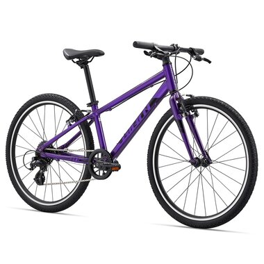 GIANT ARX 24 24" // 8G (purple)