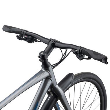 GIANT Escape 2 City 28" // 16G dydis 21" (53 cm) (pilka)