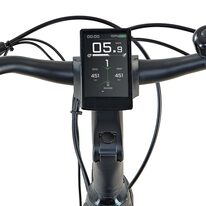 E-bike Prophete Entdecker 5.3 Deluxe 28" // 10G size 20,5" (52 cm) (black/grey)