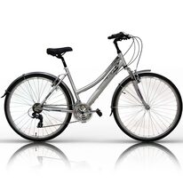 FORCE 21G 28" size 19" (48cm) (silver)