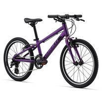 GIANT ARX 20 20" // 8G (purple)