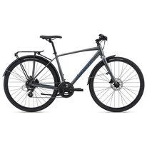 GIANT Escape 2 City 28" // 16G size 23" (58 cm) (grey)