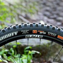 Шина MAXXIS 29" x 2.25" Aspen TR // складная, бескамерная