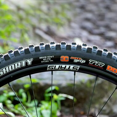 Padanga MAXXIS 29" x 2.25" Aspen TR // sulankstoma, bekamerinė